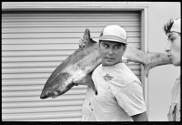 https://www.ed-templeton.com/files/gimgs/th-153_Man with thresher shark HB pier V2.jpg